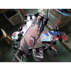 Skate Longboard -  model