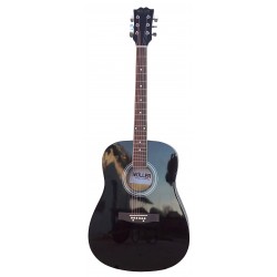 Akusticne  gitare 41' - Moller Germany